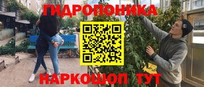 прущий лед Будённовск