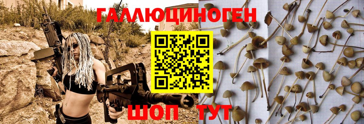 Галлюциногенные грибы прущие грибы  Галлюциногенные грибы GOLDEN TEACHER  Чапаевск  Вход с VPN 